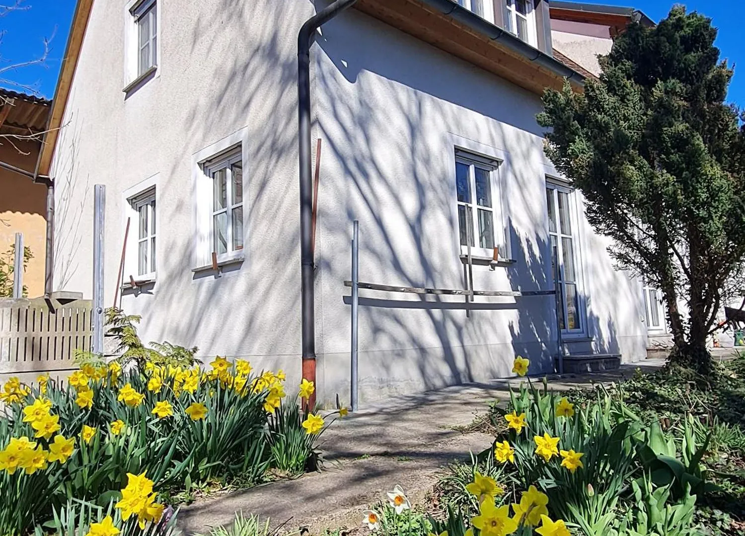 Ferienhaus Blumenstock Steinsfeld